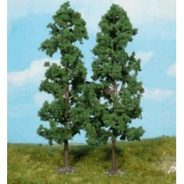 2 Hètres 18 cm