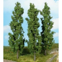 3 Peupliers 18 cm
