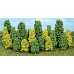 20 Arbres à feuilles 5-15 cm