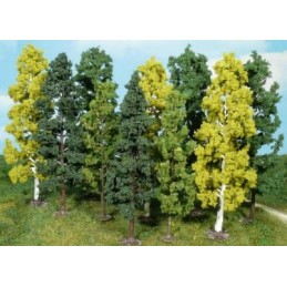 10 Arbres assorties 14-18 cm