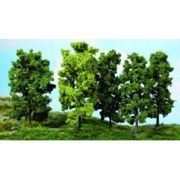 5 Arbres à feuilles 18 cm