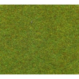 Tapis vert clair 100 cm x 75 cm
