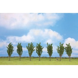 Lot de 7 arbustes de 12 cm pour allée