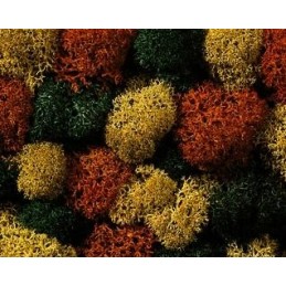 Sachet de buissons colorés