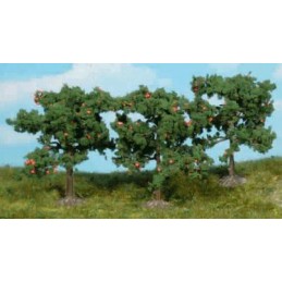 3 Pommiers de 8 cm