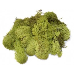 Sachet de 75 gr de Buissons Verts Heki