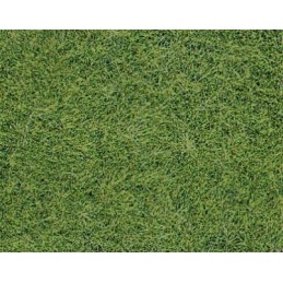 Tapis Epais-6 mm - Herbe claire 40 cm x 24 cm
