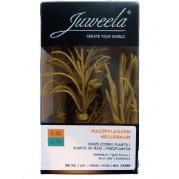 50 Pieds de Mais Grain . Juweela