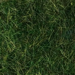 Foin en Vrac (10 mm) par 75 gr