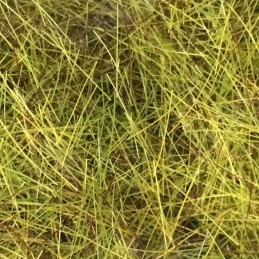 Sachet de 50 gr de foin sec (10 mm)