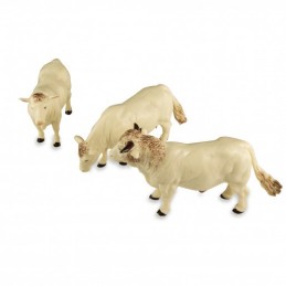 3 vaches et 1 taureau Charolais