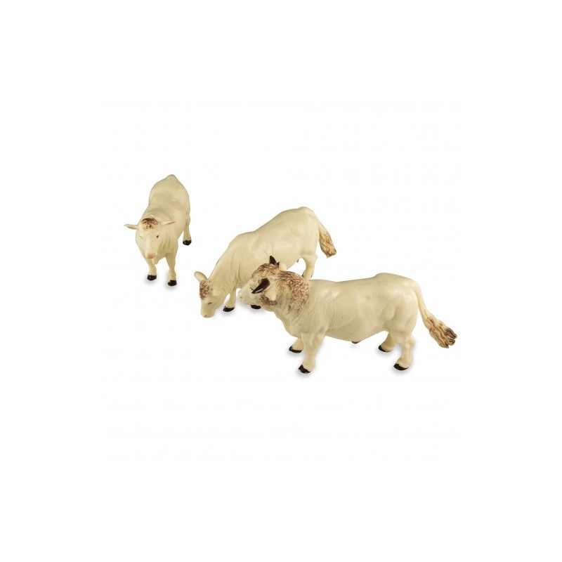 3 vaches et 1 taureau Charolais